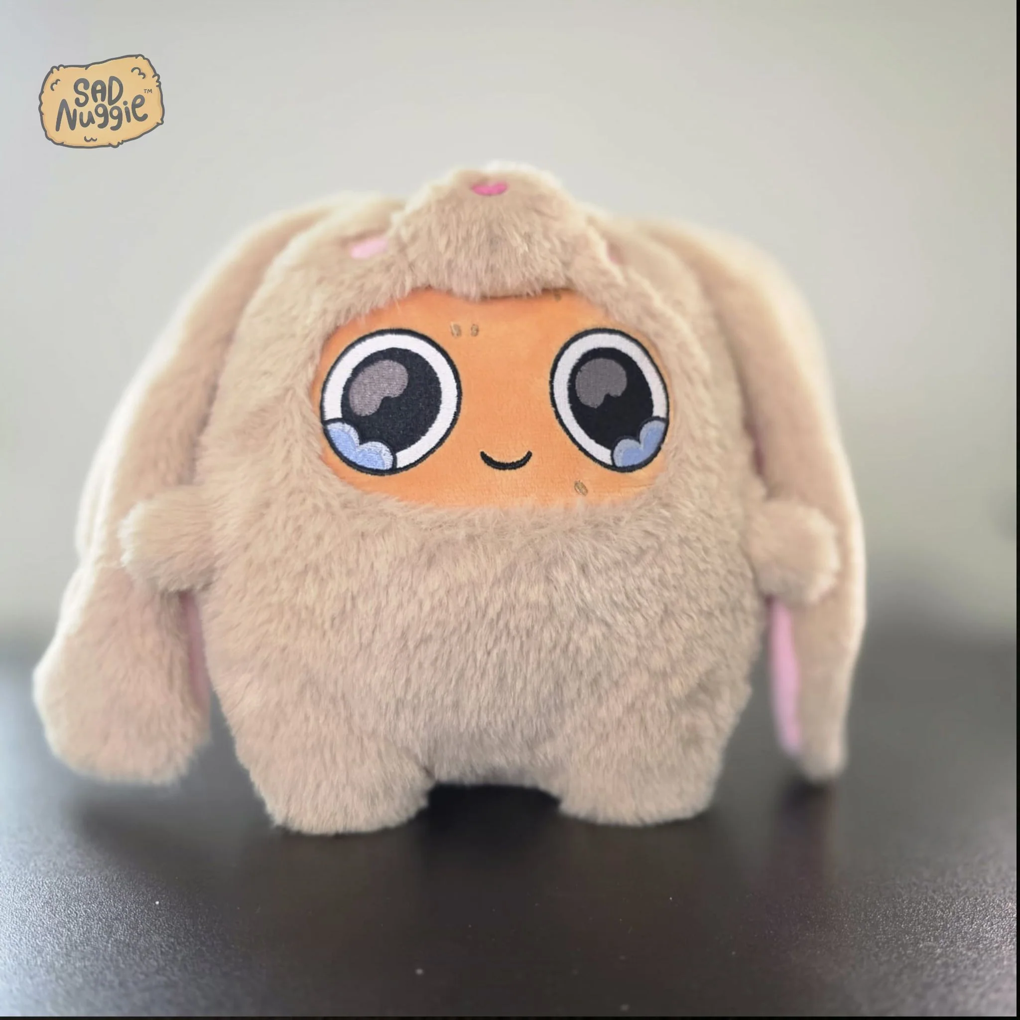 Sad Nuggie Adoption Centre